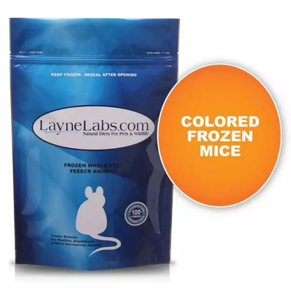 Bag of Layne Labs frozen colored mice. Title: Colored Frozen Mice.