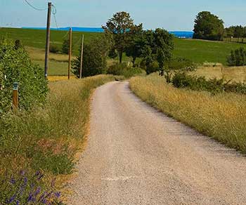 country road, grass, electric and phone lines