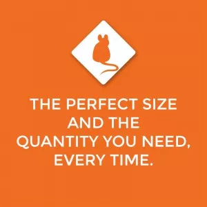 The Perfect Size and the Quantity You Need, Every Time.