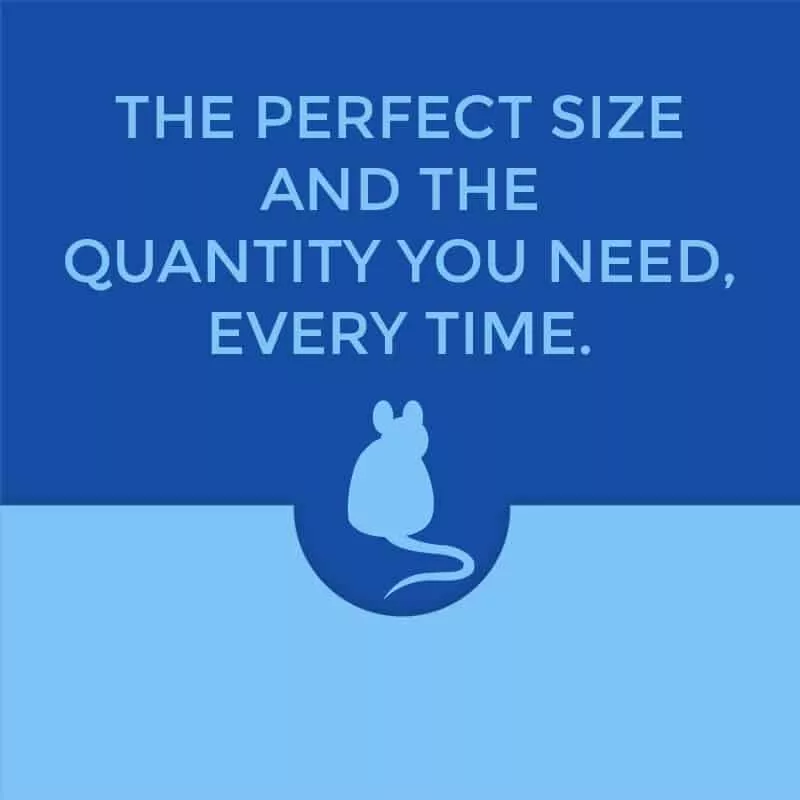 Frozen Colored Mice - Image 2