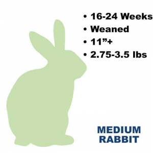 Frozen feeder medium rabbits. Title: Medium Rabbit. Text: 16 to 24 weeks old, weaned, has fur, 11 plus inches, 2 to 2.75 pounds.