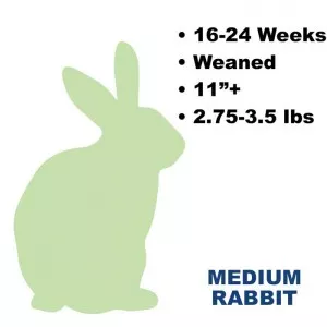 Frozen feeder medium rabbits. Title: Medium Rabbit. Text: 16 to 24 weeks old, weaned, has fur, 11 plus inches, 2 to 2.75 pounds.