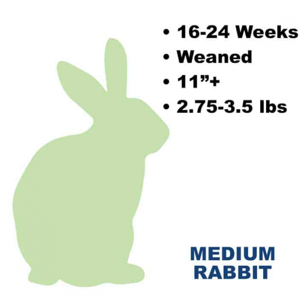 frozen rabbits for snakes