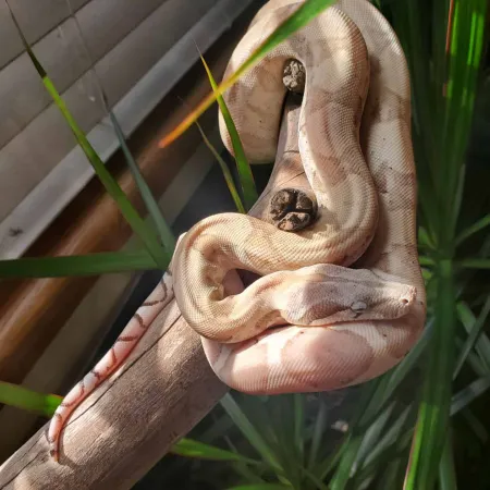 Review #160000, image #5