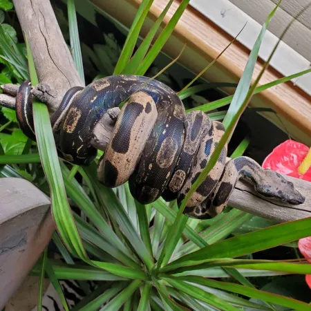 Review #160000, image #1