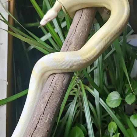 Review #160000, image #6