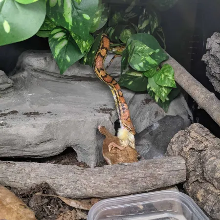 Review #161089, image #1