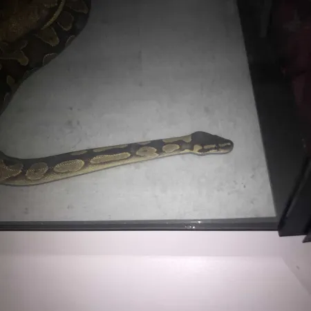 Review #162764, image #1