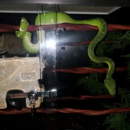 Review #164274, image #1