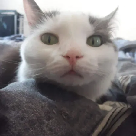 Review #164103, image #1