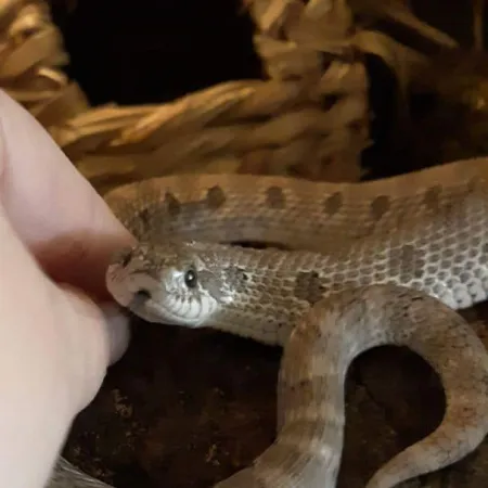 Review #164103, image #3