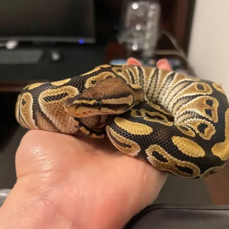 Review #164144, image #1