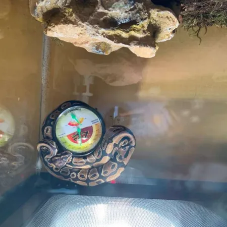 Review #164611, image #1