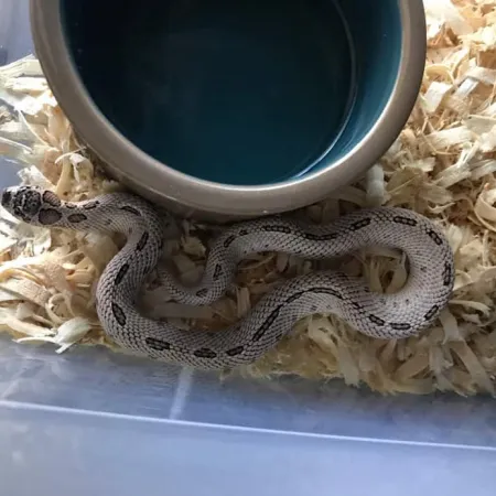 Review #164142, image #1