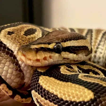 Review #164144, image #2