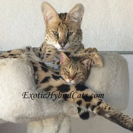 Review #164416, image #1