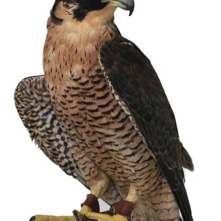 Review #164761, image #1