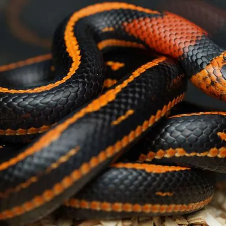 Review #164460, image #2