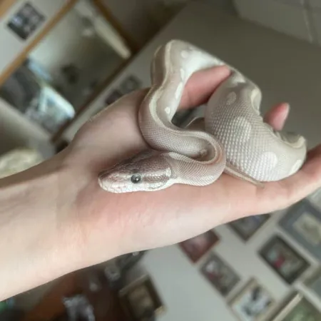 Review #164639, image #2