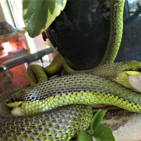 Review #164031, image #1