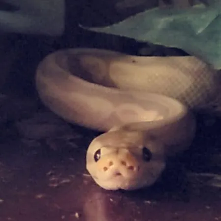 Review #164148, image #1