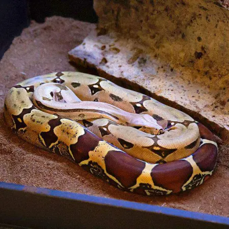 Review #163862, image #1