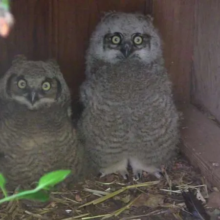 Review #164875, image #1