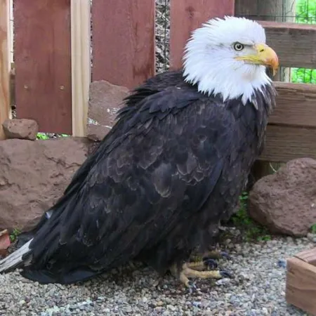 Review #164875, image #2