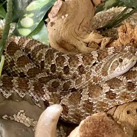 Review #164858, image #1