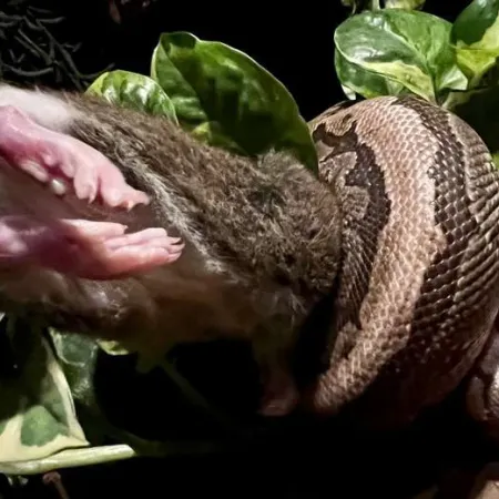 Review #165331, image #1