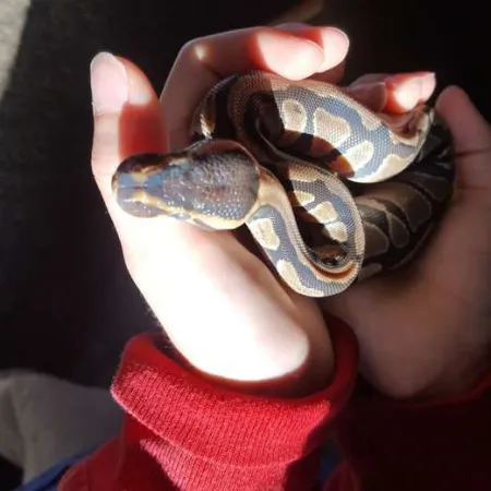 Review #165592, image #2