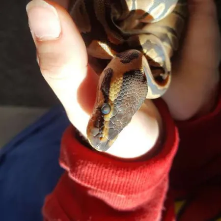 Review #165592, image #1