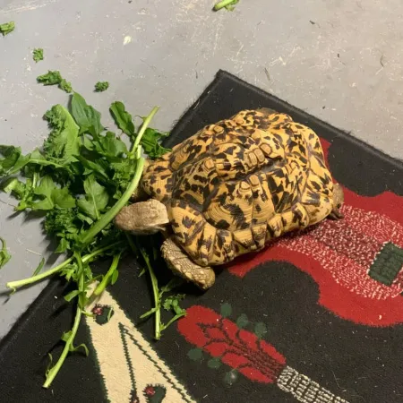 Review #165350, image #3