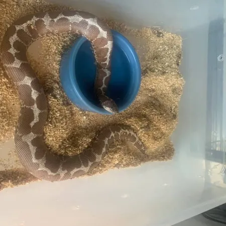 Review #165350, image #1