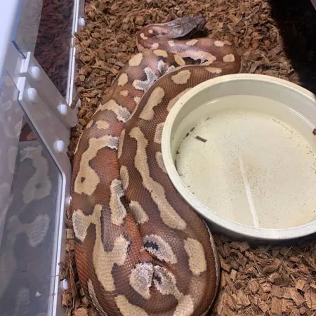 Review #165350, image #6