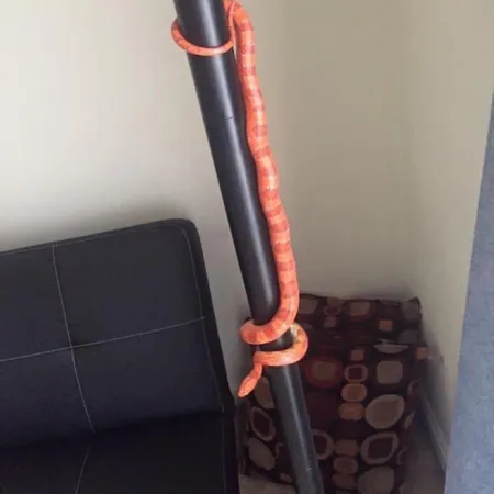 Review #165578, image #2