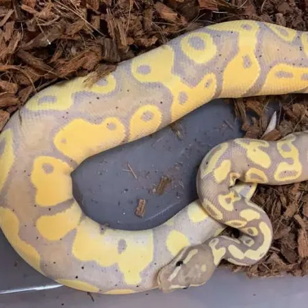 Review #164870, image #1