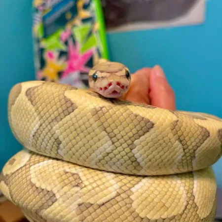 Review #165617, image #1