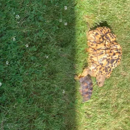 Review #165350, image #4