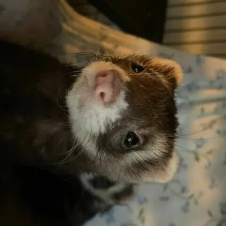 Review #165846, image #1