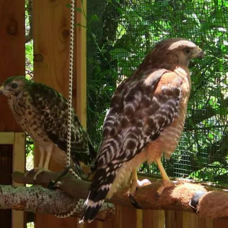 Review #164875, image #3