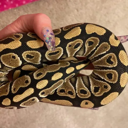 Review #165940, image #2