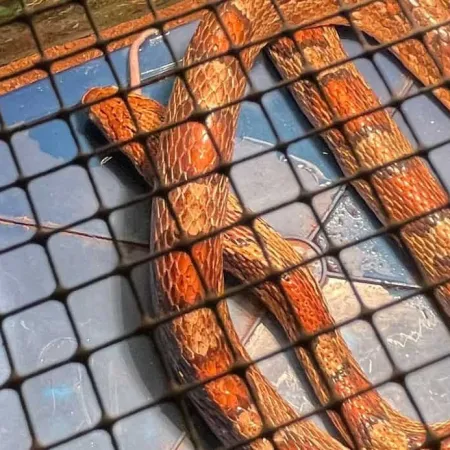 Review #166058, image #1