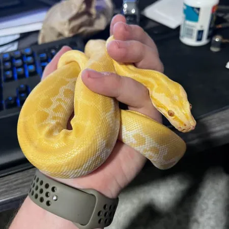 Review #166042, image #1