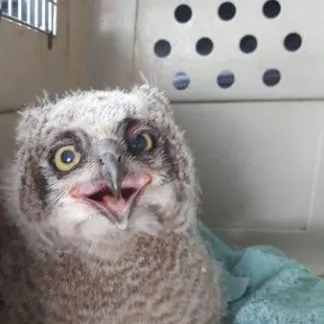 Review #166189, image #1