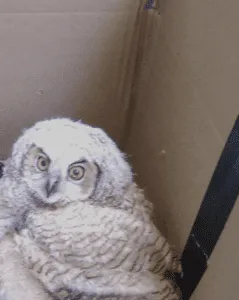 Review #166637, image #1