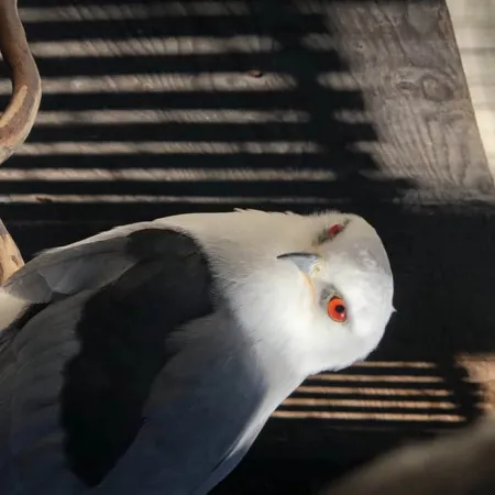 Review #167424, image #1