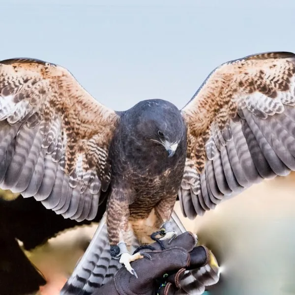 Review #167424, image #2