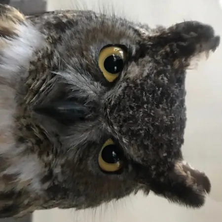 Review #167424, image #3