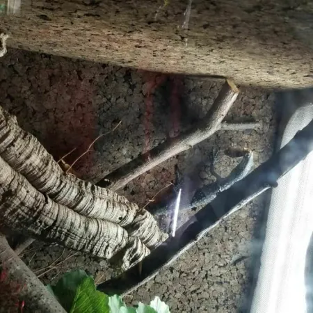 Review #168006, image #1